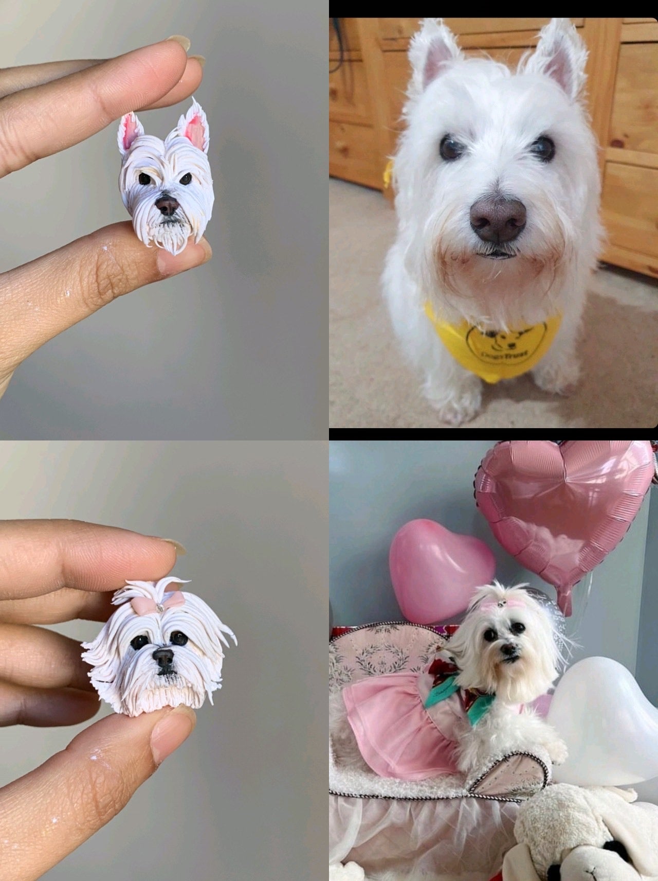 collana personalizzata con foto di animale domestico figura animale domestico , ciondoli personalizzati con animali collana personalizzata con foto di animali domestici , cane , gatto , coniglio , idee regalo compleanno , anniversario , memorial. ciondoli personalizzati animali, cane replica , animali replica , pet clone pet replica